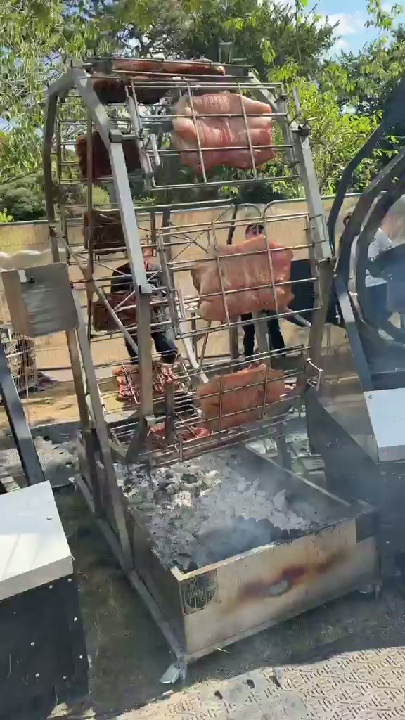 Gyroscopic Structures & Roast Carousels in Dublin